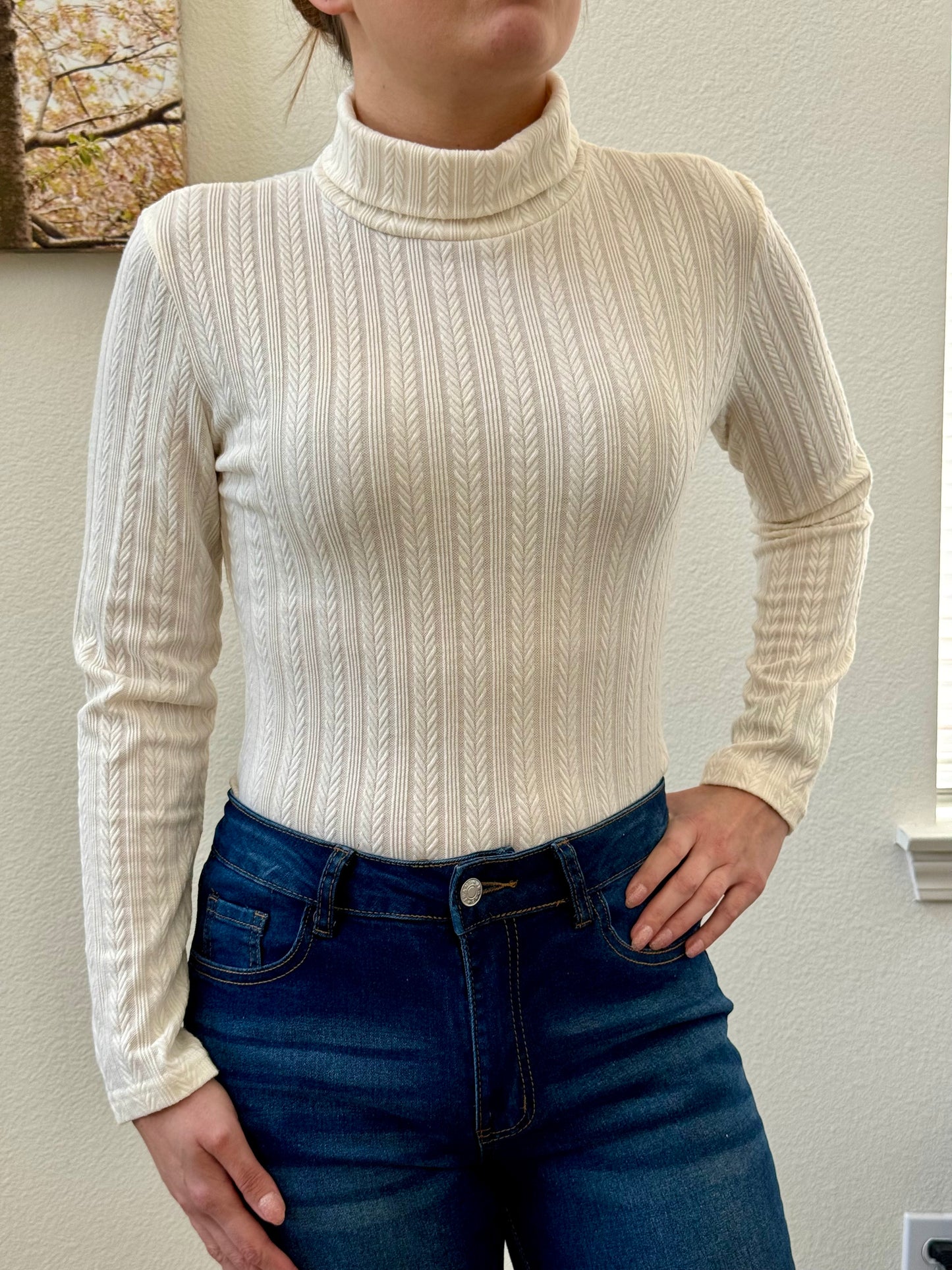 Solid Color Turtle Neck Top, Elegant Long Sleeve For Spring & Fall, Women's Clothing