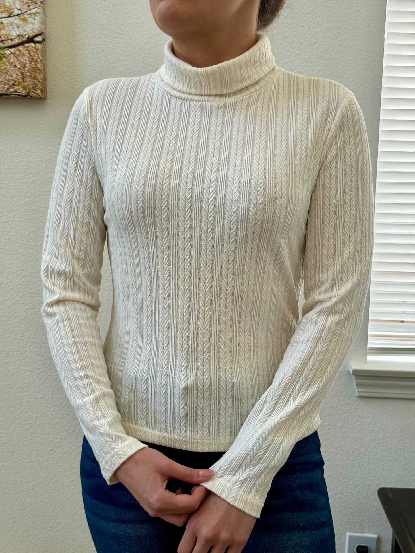 Solid Color Turtle Neck Top, Elegant Long Sleeve For Spring & Fall, Women's Clothing