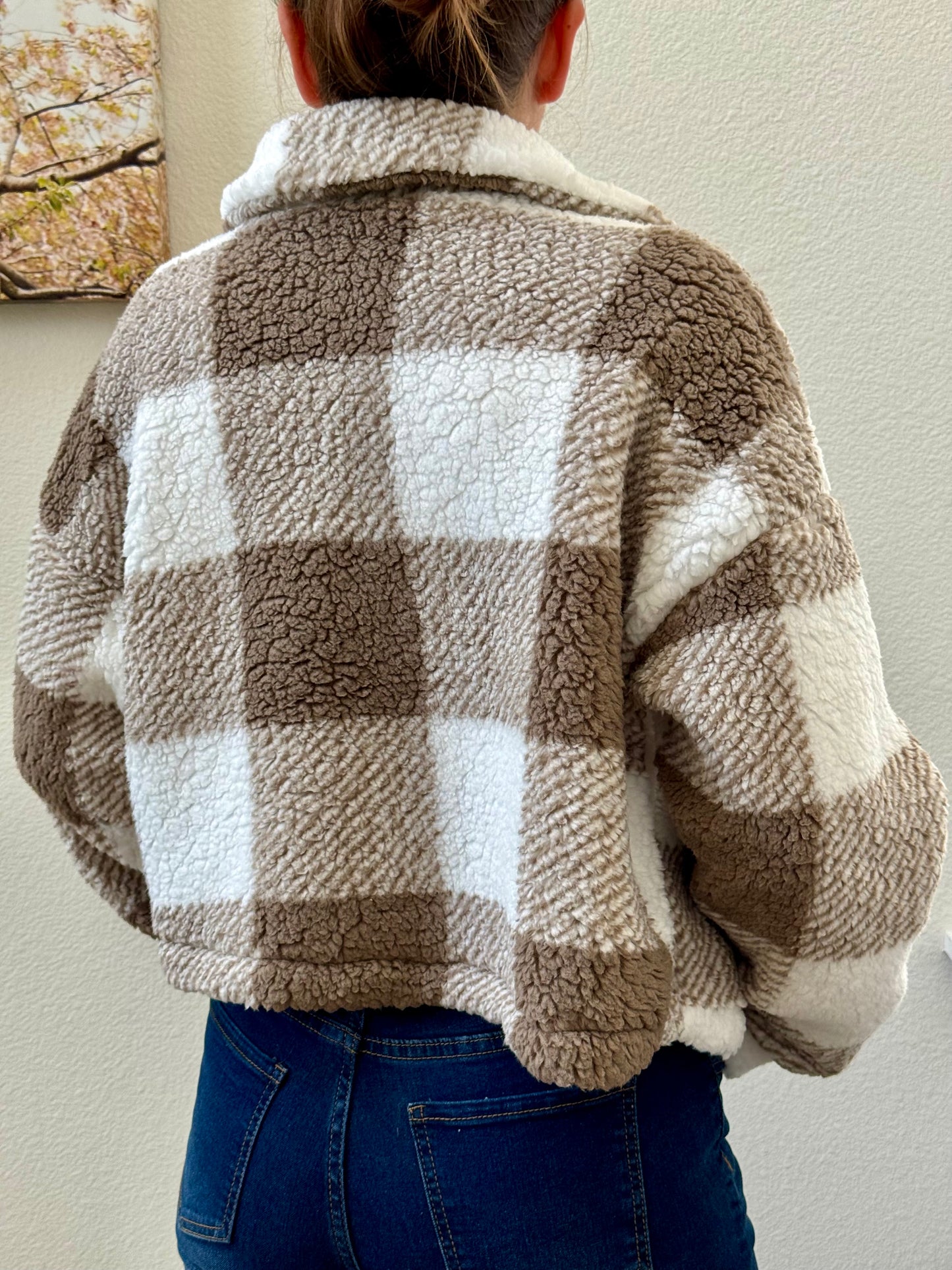 Plaid Button Front Teddy Coat, Casual, Soft, Comfortable Long Sleeve Coat For Fall & Winter,Women's Clothing