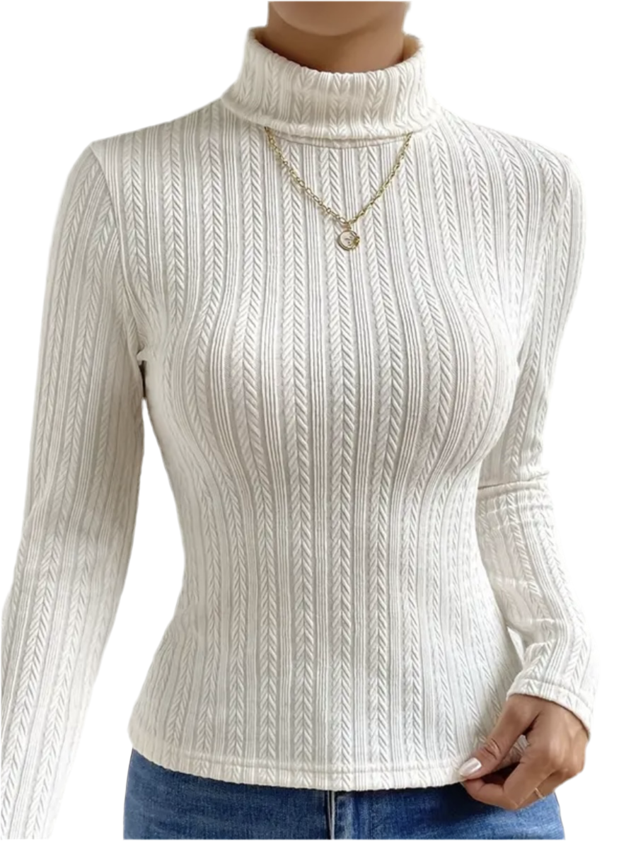 Solid Color Turtle Neck Top, Elegant Long Sleeve For Spring & Fall, Women's Clothing