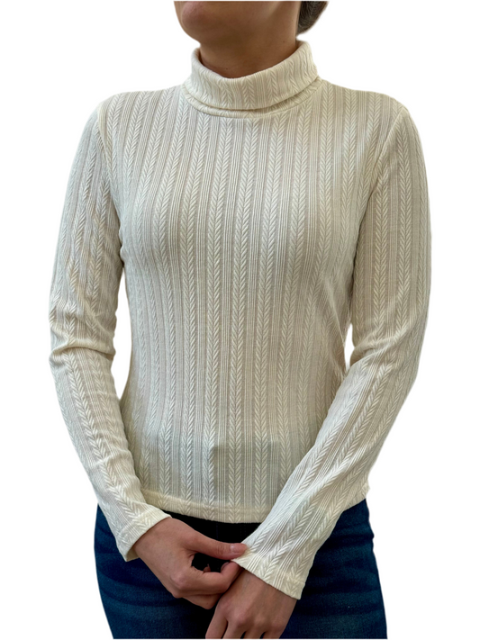 Solid Color Turtle Neck Top, Elegant Long Sleeve For Spring & Fall, Women's Clothing